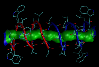 vmd rendering of 1grm HOLE solid surface captured with Tachyon